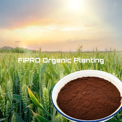 500ppm Iron Amino Acid Plant Fertilizer Powder 100% Enzymatic Hydrolysis
