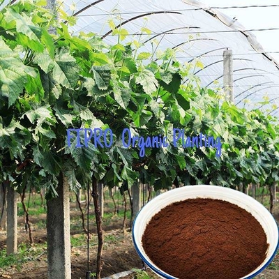 Free Amino Acids Biostimulant Organic Fertilizer Powder 100% Instant Water Soluble