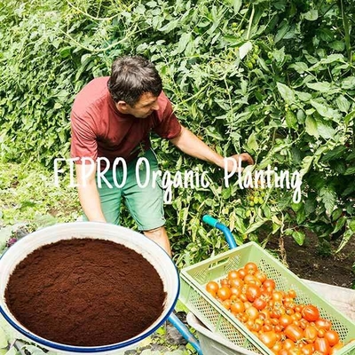 Fully Water Dispersible Amino Acids Organic Fertilizer Powder L-Alpha