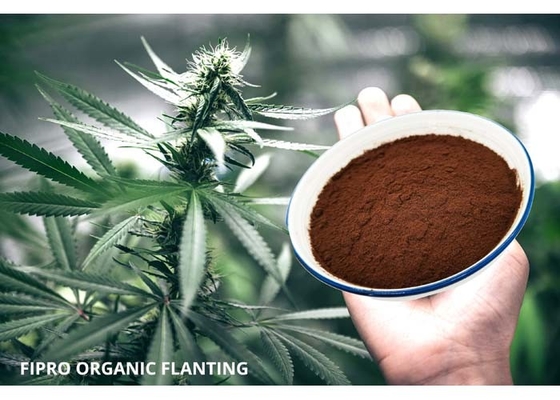 13% Nitrogen Organic Biostimulant 20% Free Amino Acid Fertilizer Powder