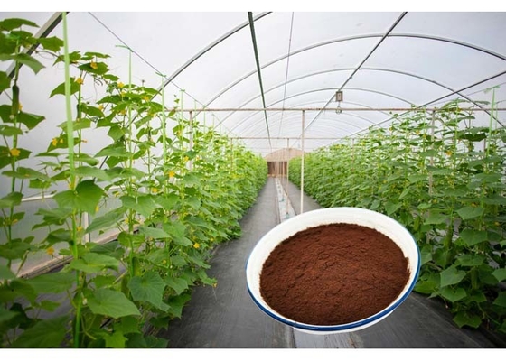 13% Nitrogen Organic Biostimulant 20% Free Amino Acid Fertilizer Powder
