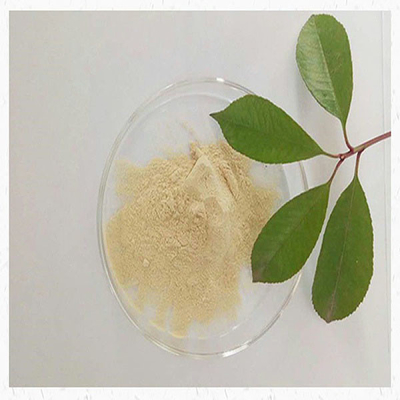 Bacteriological Yellow Soy Peptone Powder Soy Meal Powder GMO FREE