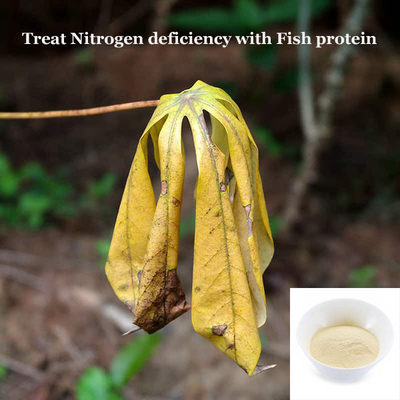Fish Derived Protein Hydrolysate Organic Fertilizer Plant Biostimulant