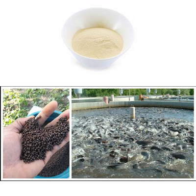 Antibacterial Fish Protein Hydrolysate Powder Function Immune Stimulating
