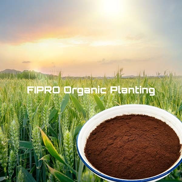 500ppm Iron Amino Acid Plant Fertilizer Powder 100% Enzymatic Hydrolysis