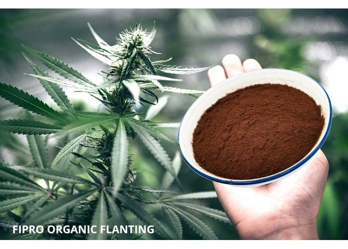 13% Nitrogen Organic Biostimulant 20% Free Amino Acid Fertilizer Powder