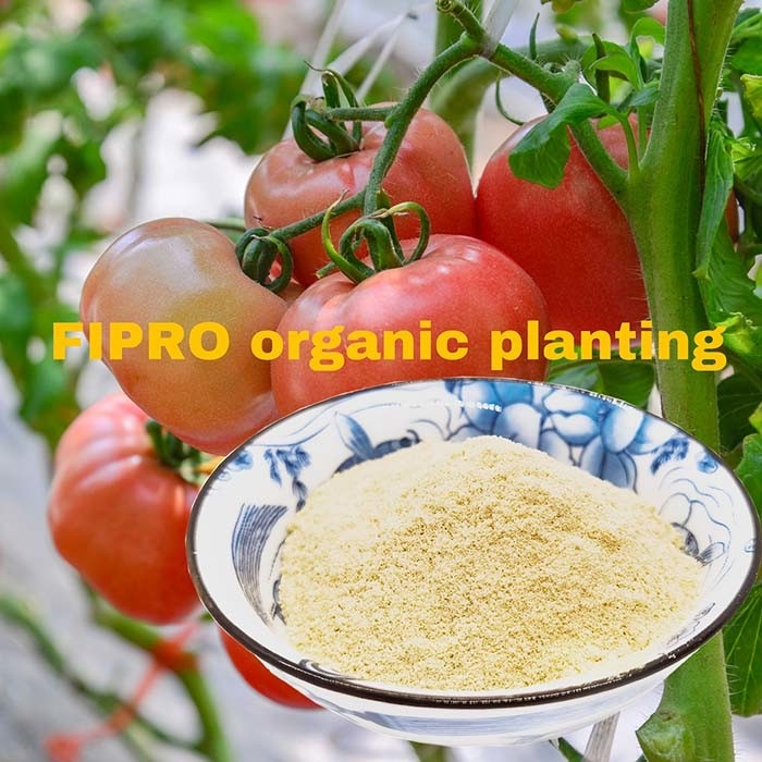 Soy Protein Hydrolysate Amino Acid Based Fertilizer For Plants Non GMO