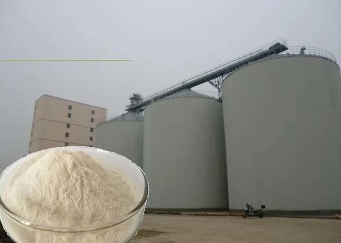 Protein 70% Spray Dried Porcine Plasma Powder For Piglet Feed