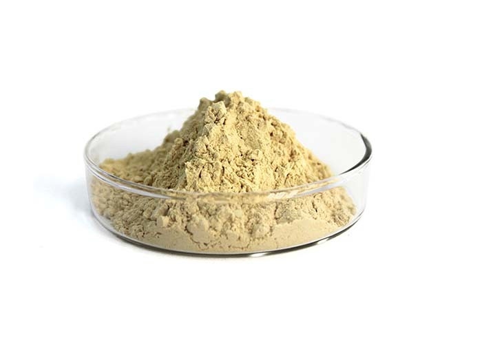 Non-GMO Vegetable peptone powder from maize for alcohol fermentation food industry