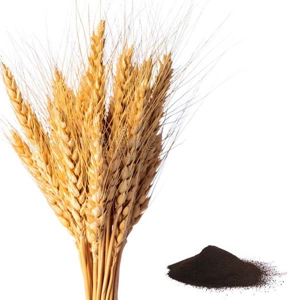 Full Absorbable Amino Acid Fertilizer Excellet Source Of Organic Nitrogen And Iron