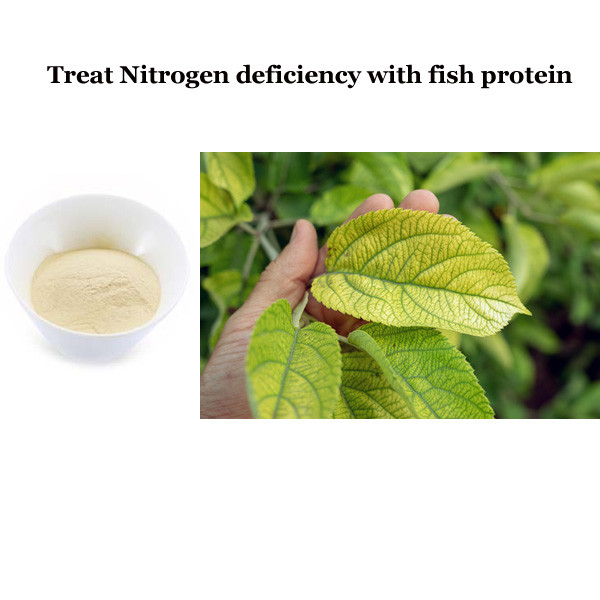 Easy To Apply Fish Protein 100% Pure Organic Fertilizer Plant Biostimulants