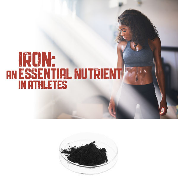 2% Fe Heme Iron Polypeptide Powder For Iron Deficiency Anemia
