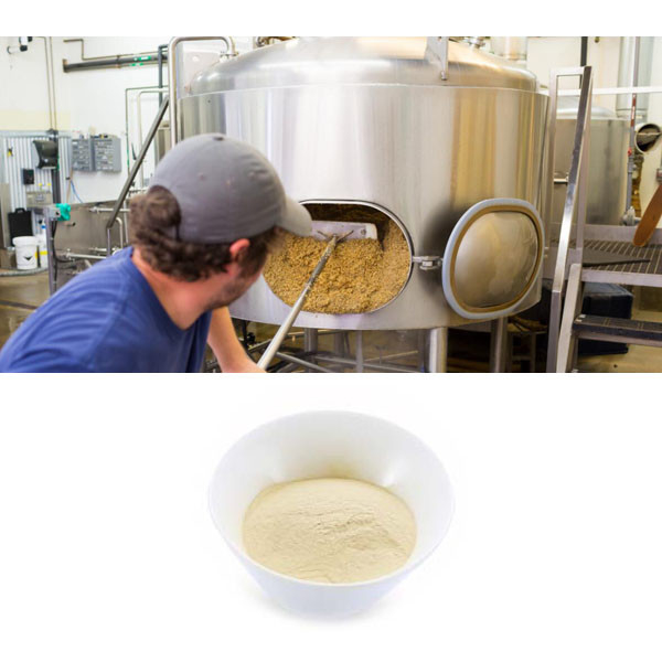 Light Yellow Powder Fish Peptone For Microbiological Culture Medium