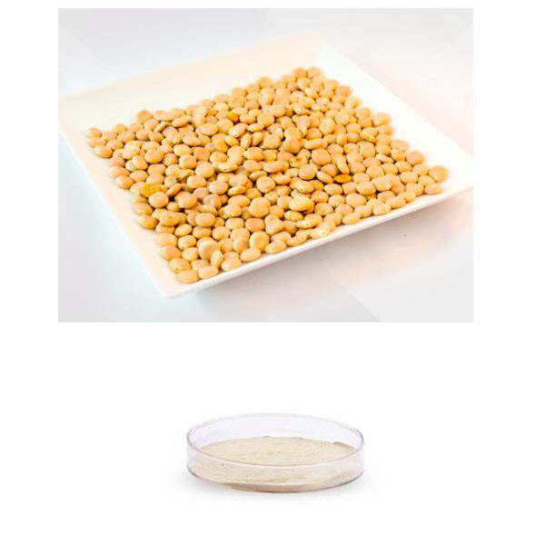 Non GMO Enzymatic Digest Peptone From Soybean For Industrial Fermentation