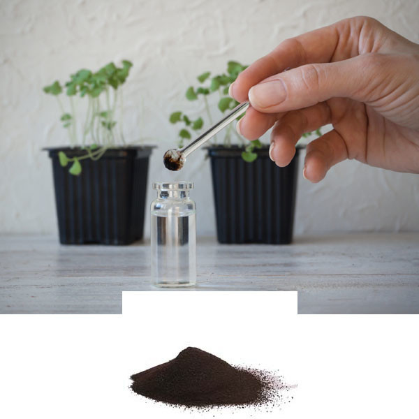 Comlementary To Crop Nutrition Amino Acids Powder Organic Biostimulant Fertilizer