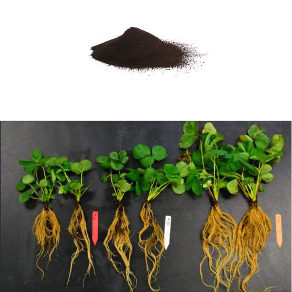 Amino Acids Powder Organic Fertilizer Free Of Animal DNA Agriculture Biostimulant