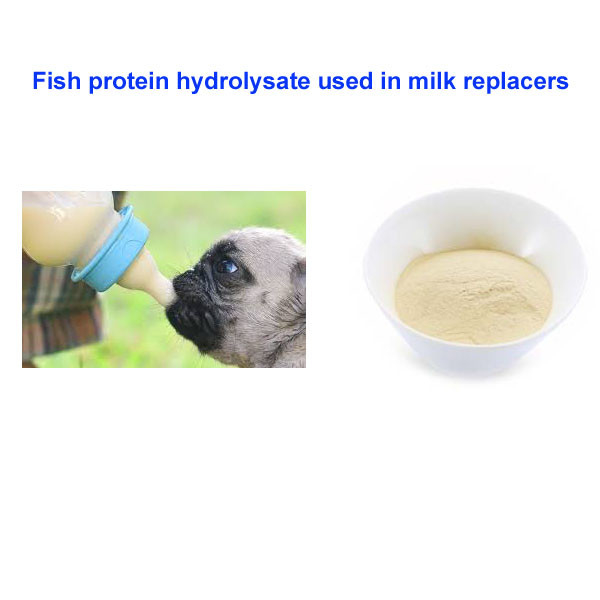 Milk Replacers Fish Protein Hydrolysate Powder For Young Animals
