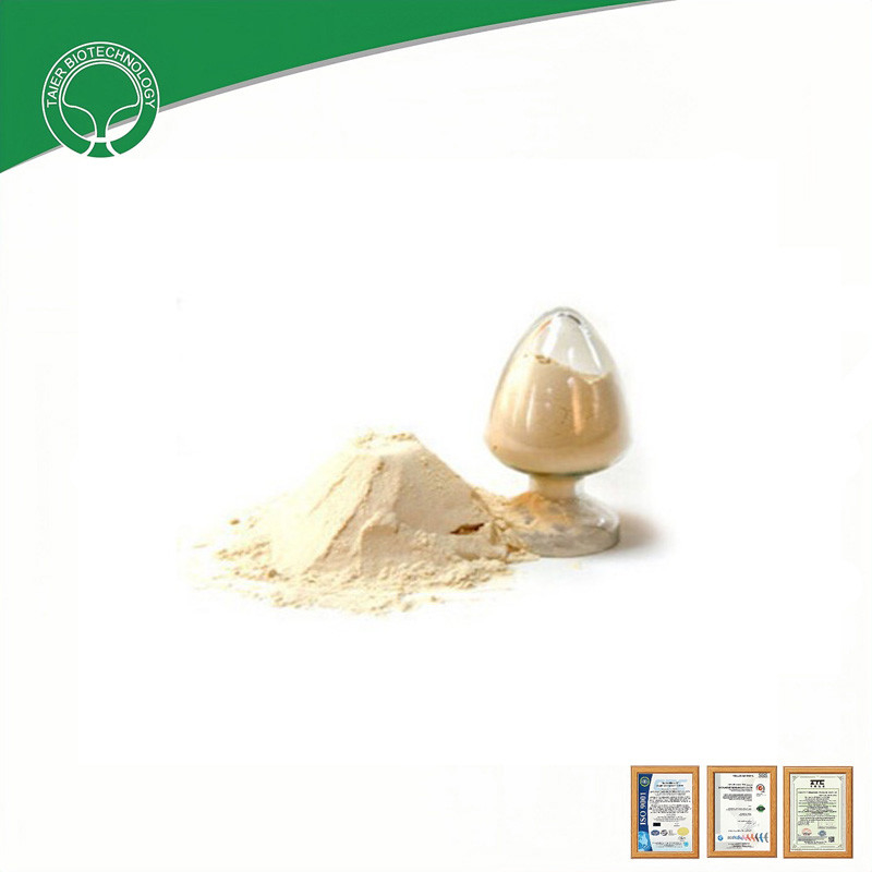 Organic Agriculture Cultivation Protein Hydrolysate Powder for Amino Acid Powder